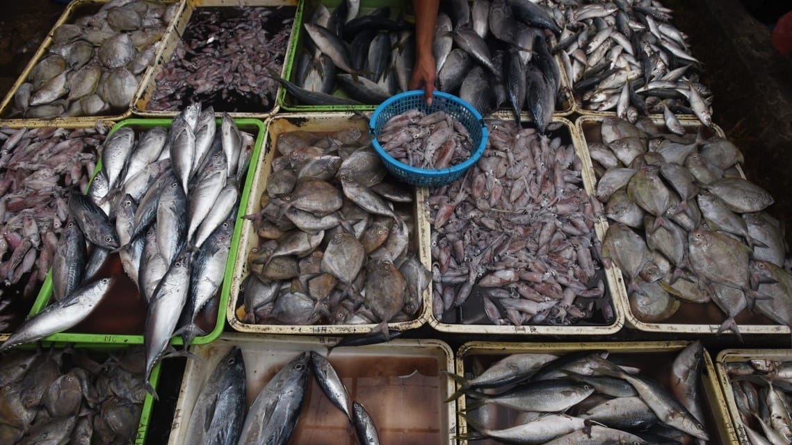 pedagang menata ikan di pasar ikan pabean, surabaya, jawa timur, senin (28/3). pemerintah mencanangkan program gemar makan ikan di seluruh wilayah indonesia guna meningkatkan kesadaran masyarakat untuk mengkonsumsi ikan termasuk olahannya. antara foto/zabur karuru/kye/16 PROGRAM GEMAR MAKAN IKAN