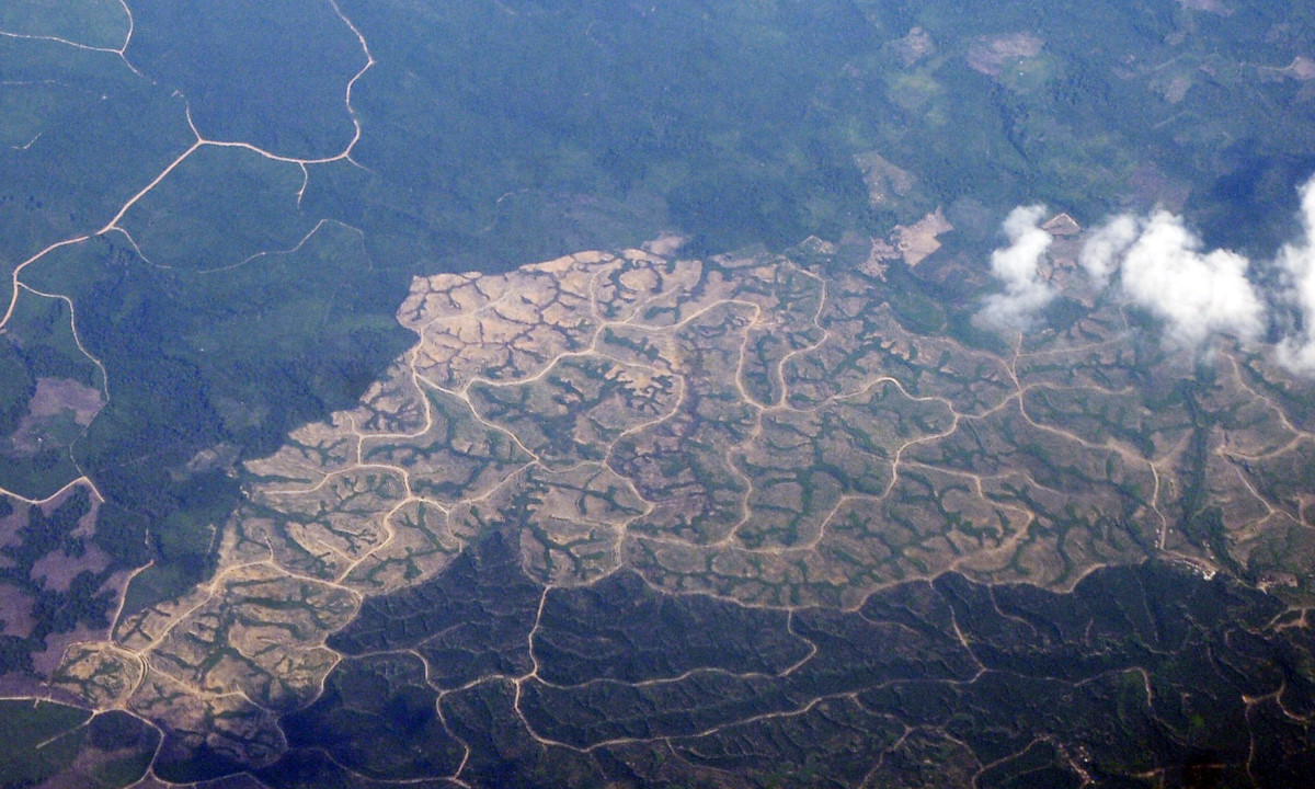 Foto udara kawasan hutan yang rusak di Lahat, Sumatera Selatan, Rabu (25/2). Data Kementerian Lingkungan Hidup dan Kehutanan, sekitar 30 persen hutan dan kawasan konservasi atau seluas 10,5 juta hektare rusak karena perambahan, pembalakan liar, kebakaran, dan pembukaan lahan baru untuk perkebunan atau pertambangan. ANTARA FOTO/Iggoy el Fitra/ed/ama/15