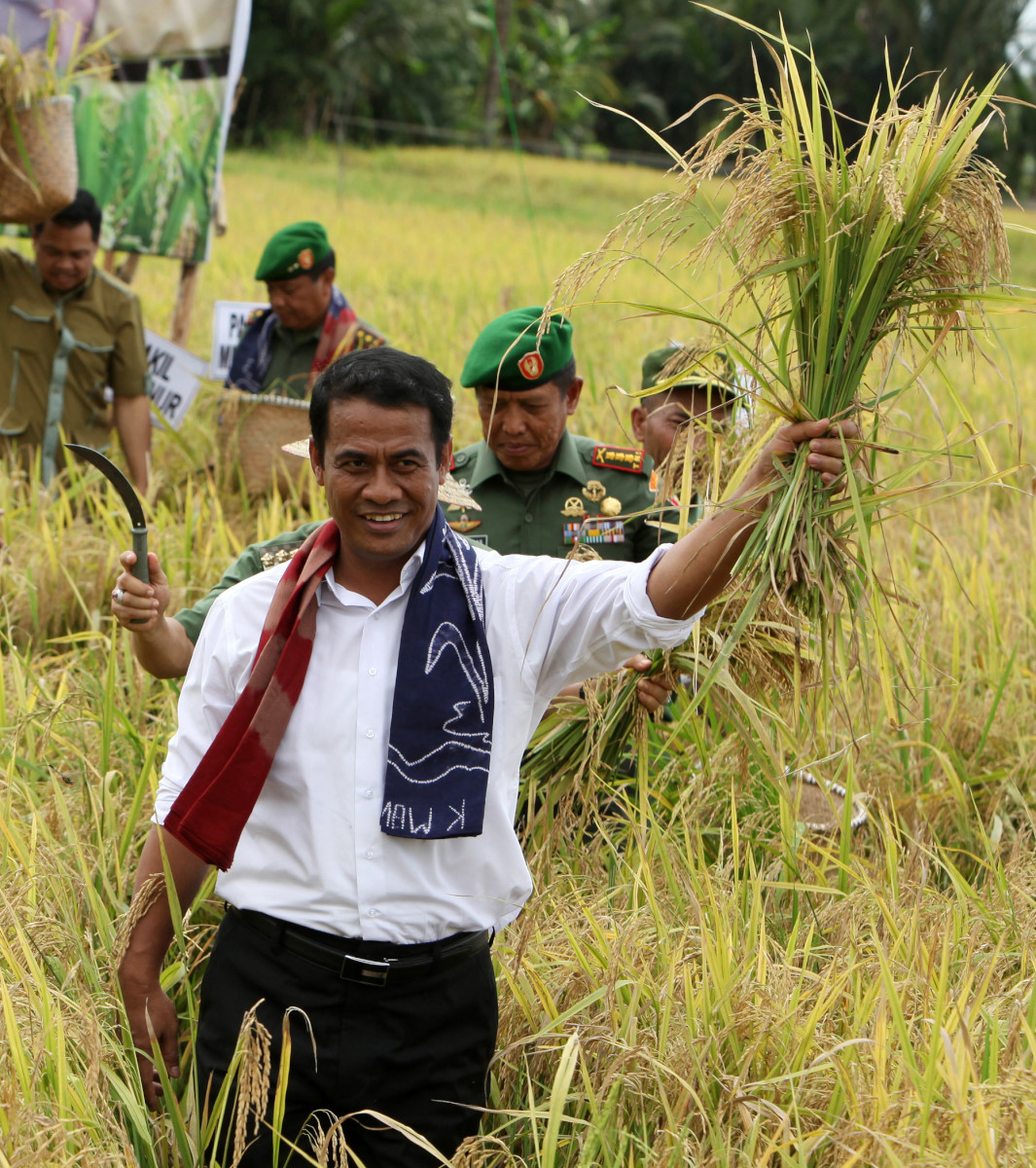 Menteri Pertanian Andi Amran Sulaiman melakukan panen raya padi di desa Timbaan, Tapin, Kalimantan Selatan, Senin (16/3). Kementerian Pertanian menargetkan membuka lahan pertanian 1,5 juta hektar di tahun 2015. ANTARA FOTO/Herry Murdy Hermawan/Asf/pd/15.