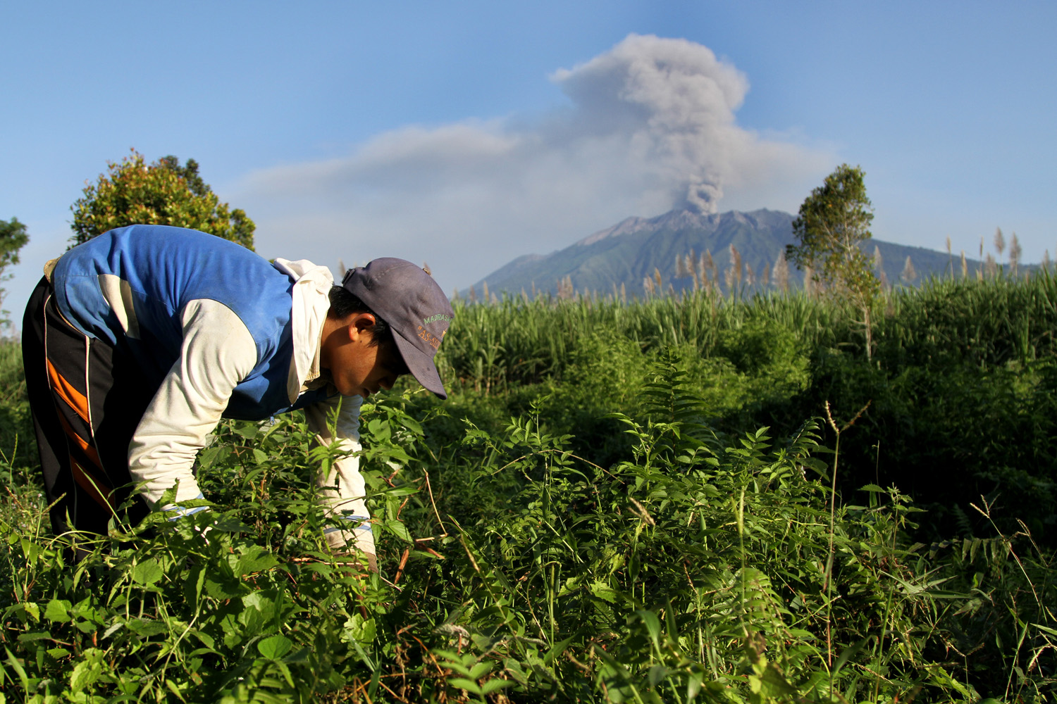 Aktivitas petani di desa lereng Gunung Raung, Banyuwangi. TIRTO/Andrey Gromico