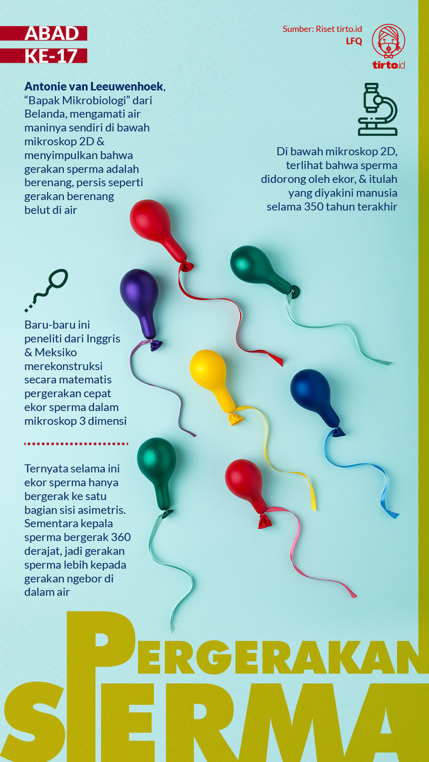 Infografik Pergerakan Sperma. tirto.id/Quita Infografik Pergerakan Sperma