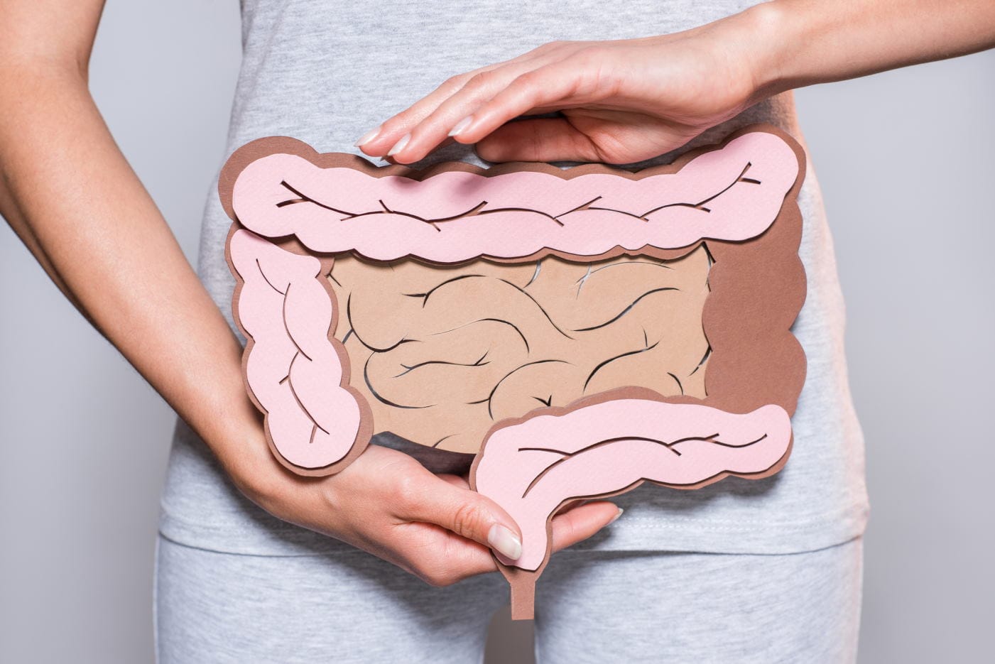 ilustrasi sistem pencernaan manusia. FOTO/iStockphoto ilustrasi sistem pencernaan manusia