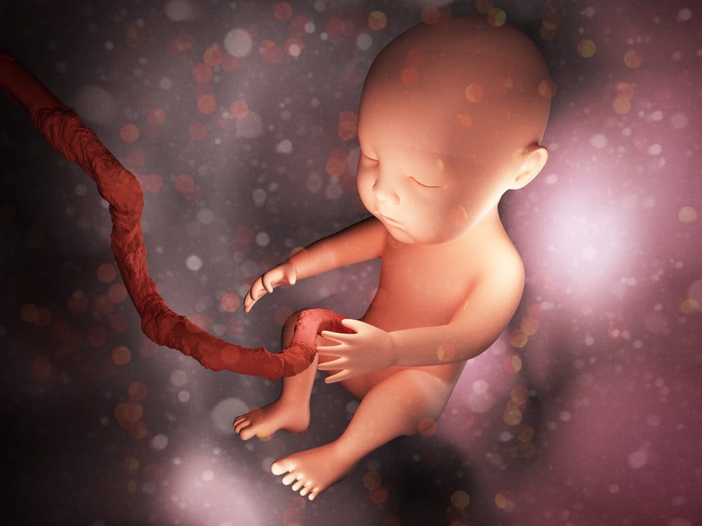 Ilustrasi Janin (Bayi) dalam Anatomi Rahim. (FOTO/iStockphoto) Ilustrasi Janin