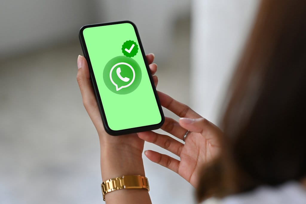 Ilustrasi WhatsApp Centang Hijau. FOTO/iStockphoto Ilustrasi WhatsApp Centang Hijau