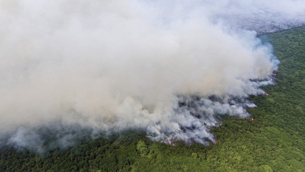 Foto udara asap membumbung tinggi dari kebakaran lahan gambut di Desa Jungkal, Kecamatan Pampangan, Ogan Komering Ilir (OKI), Sumatera Selatan, Selasa (19/9/2023). ANTARA FOTO/Nova Wahyudi/foc. Kebakaran lahan gambut di Desa Jungkal