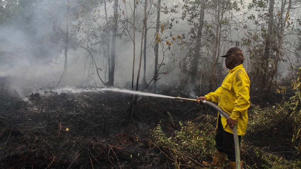 Petugas dari satgas gabungan pemadam kebakaran hutan dan lahan (karhutla) berupaya memadamkan api yang membakar hutan dan lahan di Desa Tumbang Nusa, Pulang Pisau, Kalimantan Tengah, Rabu (27/9/2023). ANTARA FOTO/Auliya Rahman/tom. Upaya pemadaman karhutla di Kalimantan Tengah