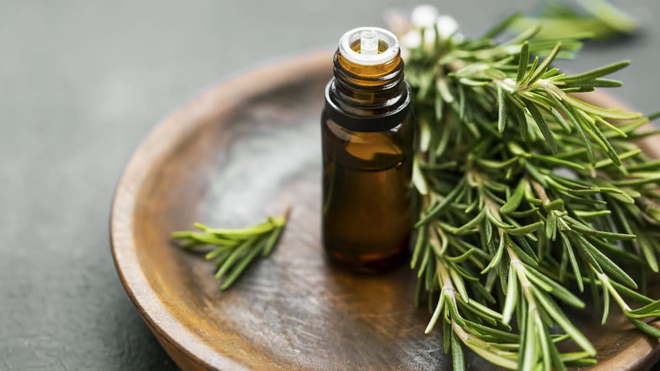 Ilustrasi Fragrance Kosmetik. foto/IStockphoto Header Diajeng Rosemary