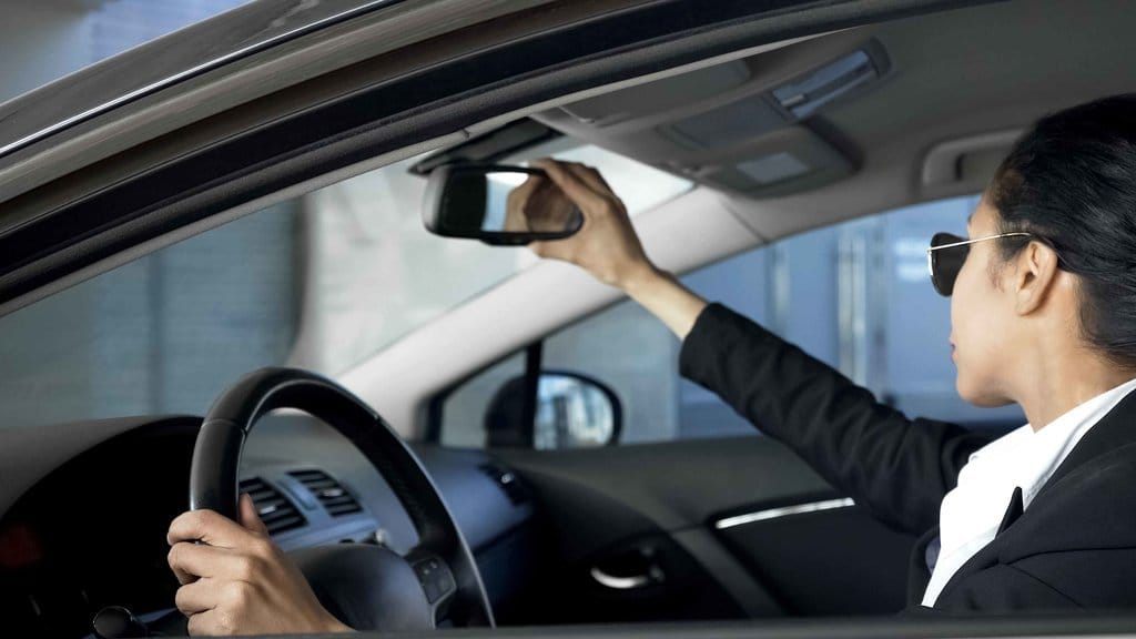 Ilustrasi Spion Mobil. foto/istockphoto Ilustrasi Supir Pribadi