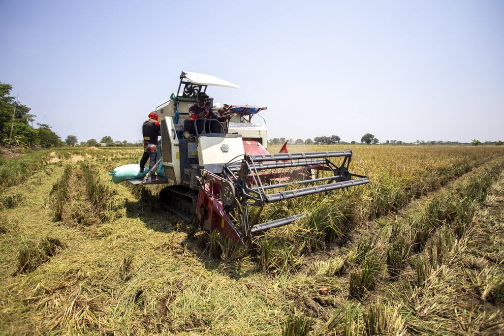 Operator mengoperasikan mesin pemanen padi (combine harvester) saat panen di Desa Singajaya, Indramayu, Jawa Barat, Rabu (30/10/2024).ANTARA FOTO/Dedhez Anggara/tom. Pemanfaatan dana desa untuk ketahanan pangan