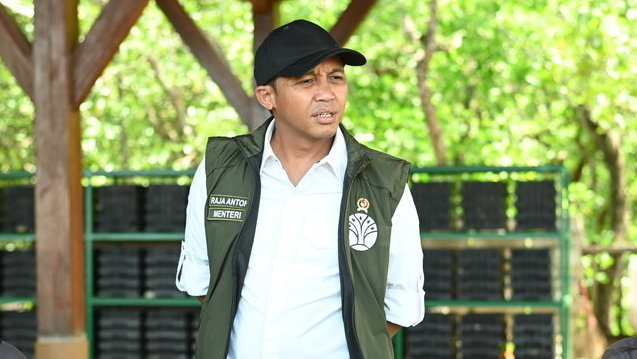 Menteri Kehutanan Raja Juli Antoni (tengah) mengunjungi kawasan mangrove Taman Hutan Raya (Tahura) Ngurah Rai, Denpasar, Bali, Kamis (16/1/2025). ANTARA FOTO/Fikri Yusuf/nz Menteri Kehutanan kunjungi Tahura Ngurah Rai