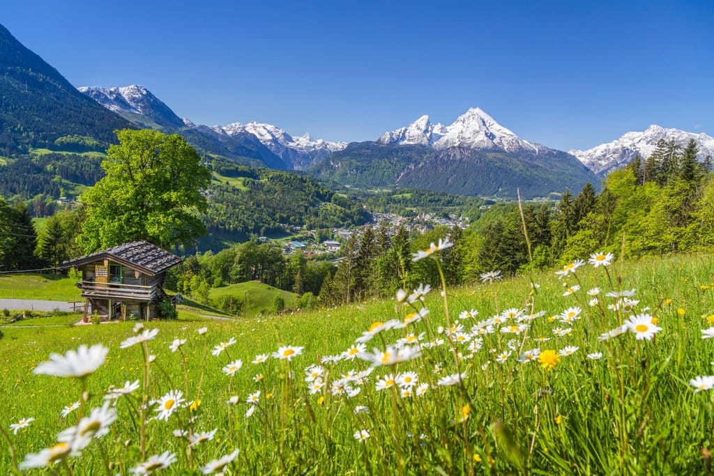 Pemandangan Alpine. FOTO/iStockphoto Taman Nasional Swiss