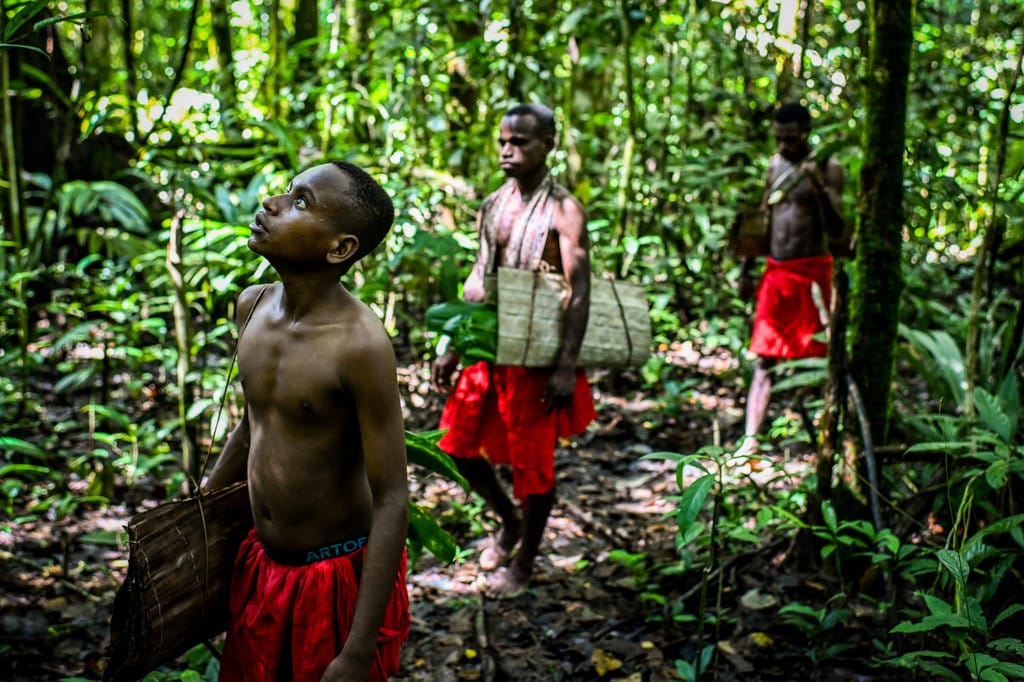 Masyarakat Suku Tehit mencari tanaman obat-obatan di dalam hutan Kampung Sira, Kabupaten Sorong Selatan, Papua Barat Daya. ANTARA FOTO/Rivan Awal Lingga. Menjaga impian Suku Tehit