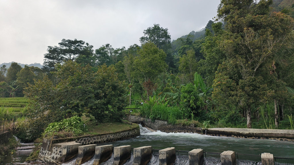 Aliran Sungai Tiyingtali yang bergerak menuju ke bak penampungan PLTMH Muara Panji. Air tersebut yang akan digunakan untuk memutar turbin, Kamis (22/05/2025). tirto.id/Sandra Gisela Buleleng Mampu Atasi Kelangkaan Energi