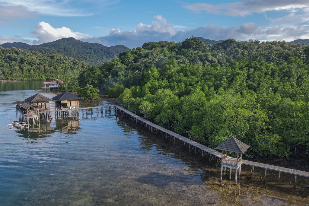 Foto udara kawasan mangrove di pesisir Desa Waworaha, Kabupaten Konawe, Sulawesi Tenggara, Sabtu (7/6/2025). ANTARA FOTO/Andry Denisah/nym. Rencana peraturan perlindungan dan pengelolaan mangrove