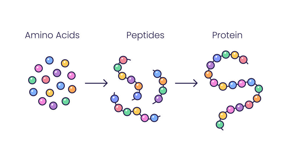 Ilustrasi Monomer Biopolimer. foto/istockphoto Ilustrasi Monomer Biopolimer