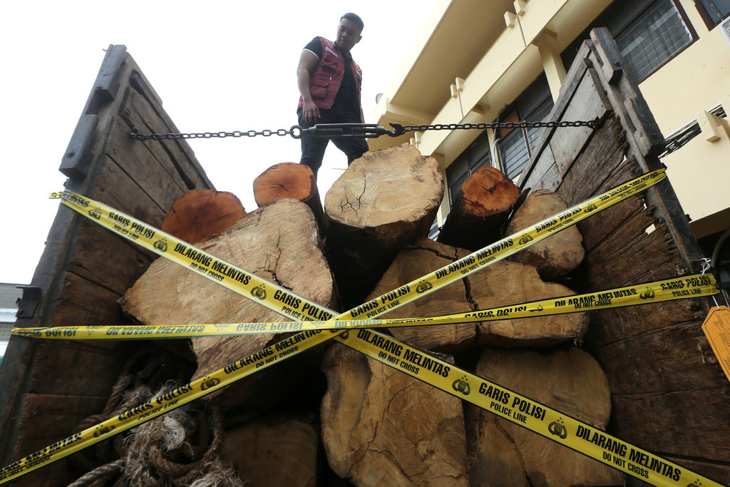 Personel Satuan Reserse Kriminal (Satreskrim) Polresta Banda Aceh berada di atas truk yang membawa kayu hasil penebangan liar dari hutan lindung di Banda Aceh, Aceh, Rabu (27/8/2025). Polresta Banda Aceh mengamankan seorang tersangka bersama satu unit truk yang membawa 7,77 kubik kayu karena diduga melanggar UU nomor 18/2023 tentang pencegahan dan pemberantasan perusakan hutan. ANTARA FOTO / Irwansyah Putra/bar Pengungkapan kasus penebangan liar dari hutan lindung