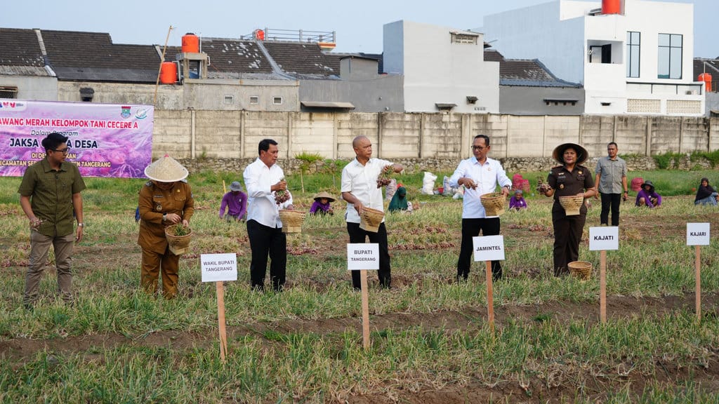 Jaksa Agung Muda Intelijen (JAM Intel) Kejaksaan Agung Prof. Dr. Reda Manthovani, S.H., L.LM., Kepala Kejaksaan Tinggi Banten Dr. Siswanto, S.H., M.H., Bupati Tangerang Moch. Maesyal Rasyid, dan Kepala Kejaksaan Negeri Kabupaten Tangerang Dr. Afrillianna Purba, S.H., M.H. saat menghadiri menghadiri panen bawang merah di Desa Sarakan, Kecamatan Sepatan, Kabupaten Tangerang, Senin (08/09/2025). FOTO/dok. Kejaksaan Agung Body artikel Kejaksaan Agung 1