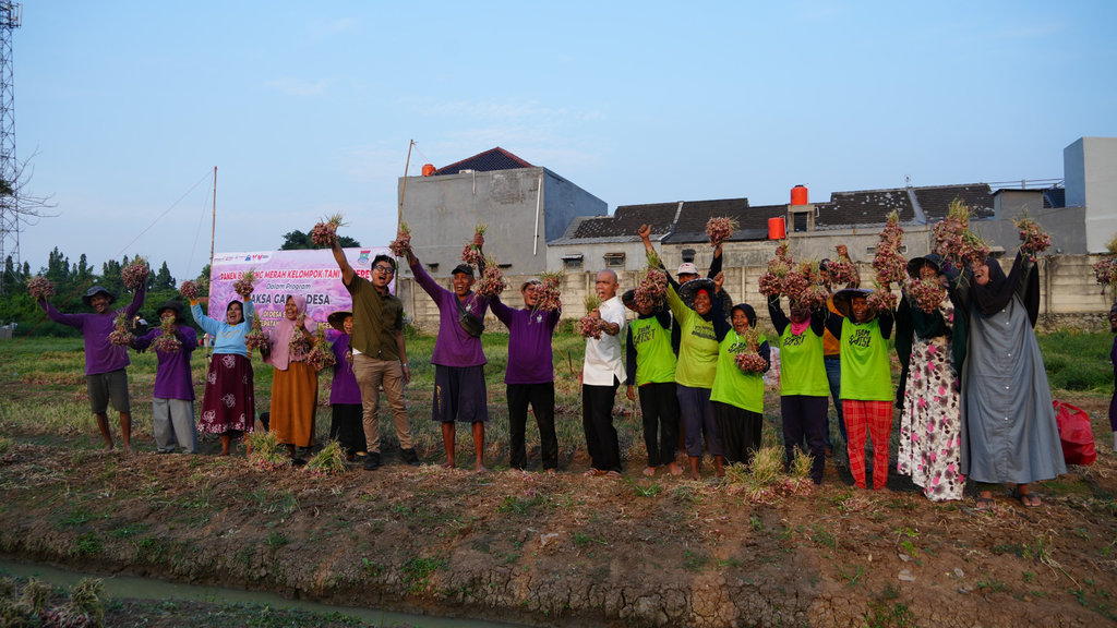 Kegiatan Panen bawang merah di Desa Sarakan pada Senin (08/09/2025). FOTO/dok. Kejaksaan Agung Body artikel Kejaksaan Agung 1