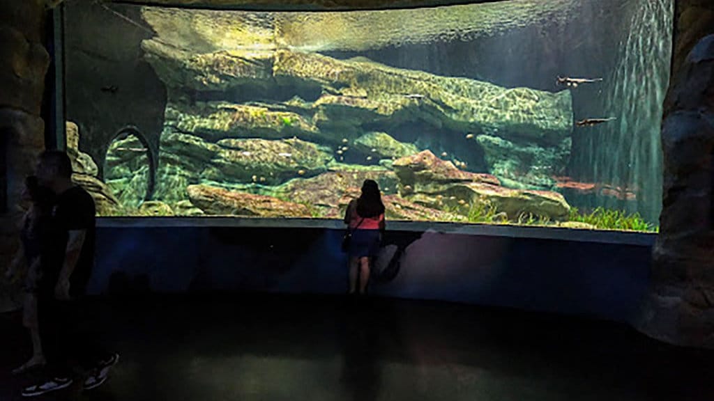 Singapore Oceanarium. FOTO/dok.BCA Digital Body artikel Feature BLU