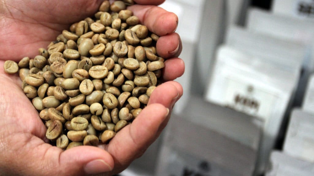 Petani menunjukkan biji kopi hijau atau green bean dari gunung Arjuno yang dipamerkan dalam festival bertajuk Artcofest di Auditorium Universitas Brawijaya, Malang, Jawa Timur, Senin (3/11/2025). ANTARA FOTO/Ari Bowo Sucipto/bar Upaya mendorong ekonomi kopi melalui festival