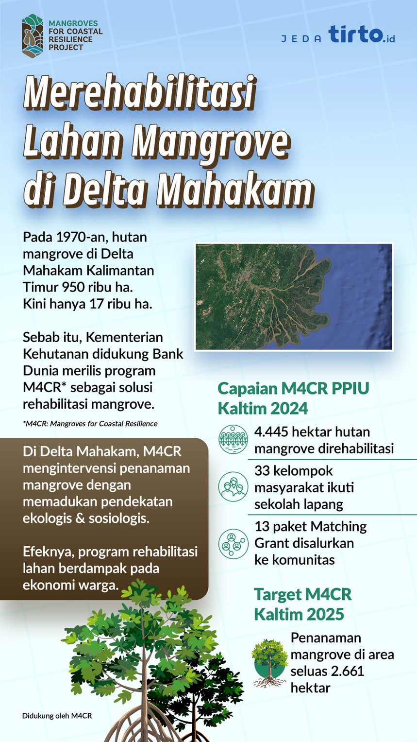 Infografik Mangrove Sumber Harapan Baru bagi Ekonomi & Ketahanan Pesisir. tirto.id/Mojo INfografik Visual Story M4CR 2