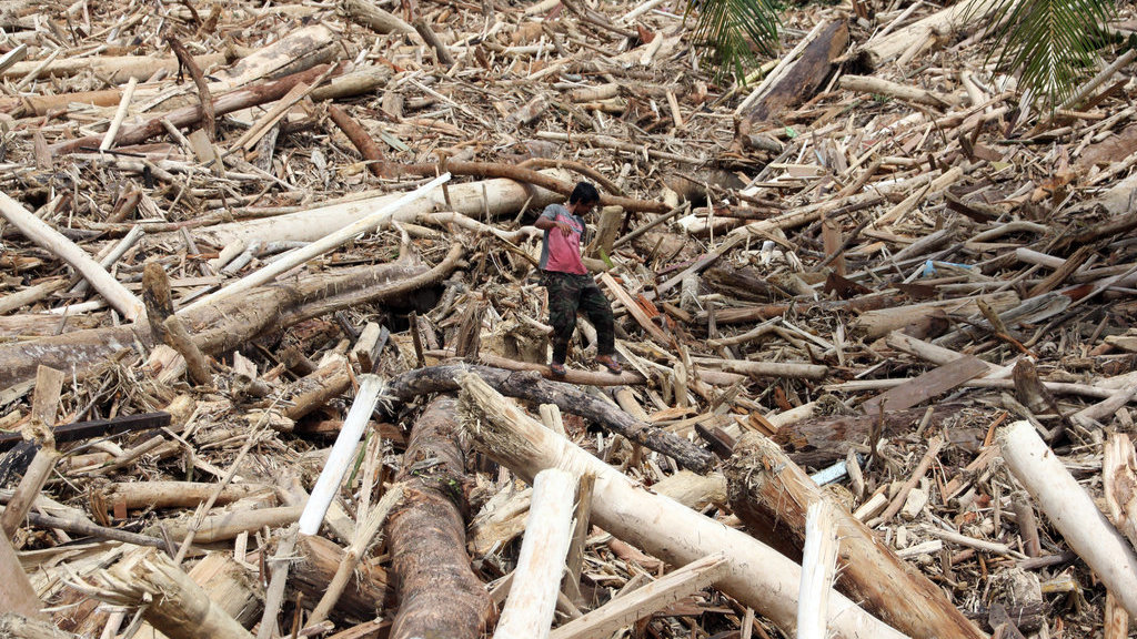 Warga berjalan di atas sampah kayu gelondongan pasca banjir bandang di Desa Aek Garoga, Kecamatan Batang Toru, Kabupaten Tapanuli Selatan, Sumatera Utara, Sabtu (29/11/2025). Sampah kayu gelondongan tersebut menumpuk di pemukiman warga dan sungai pasca banjir bandang pada Selasa (25/11). ANTARA FOTO/Yudi Manar/bar Sampah kayu gelondongan banjir bandang di Tapanuli Selatan