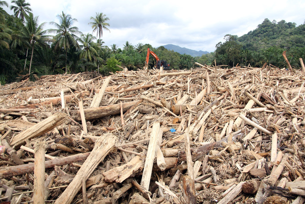 Petugas menggunakan alat berat membersihkan sampah kayu gelondongan pasca banjir bandang di Desa Aek Garoga, Kecamatan Batang Toru, Kabupaten Tapanuli Selatan, Sumatera Utara, Sabtu (29/11/2025). Sampah kayu gelondongan tersebut menumpuk di pemukiman warga dan sungai pasca banjir bandang pada Selasa (25/11). ANTARA FOTO/Yudi Manar/bar Sampah kayu gelondongan banjir bandang di Tapanuli Selatan