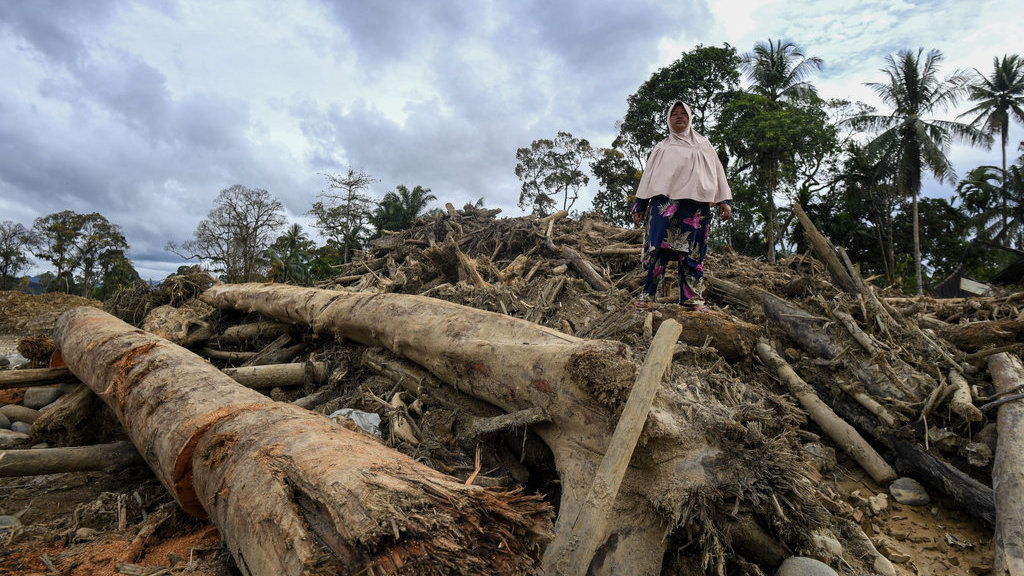 Warga berdiri di atas gelondongan kayu pascabencana banjir bandang dan tanah longsor di Desa Aek Garoga, Kelurahan Batang Toru, Kabupaten Tapanuli Selatan, Sumatera Utara, Kamis (11/12/2025). ANTARA FOTO/Muhammad Adimaja/rwa. Desa Aek Garoga dipenuhi kayu pascabanjir bandang