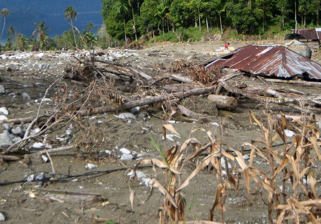 Warga menjemur gabah padi di antara material lumpur di Nagari Sungai Batang, Agam, Sumatera Barat, Jumat (26/12/2025). ANTARA FOTO/Iggoy el Fitra/wpa. Perpanjangan masa tanggap darurat di Agam