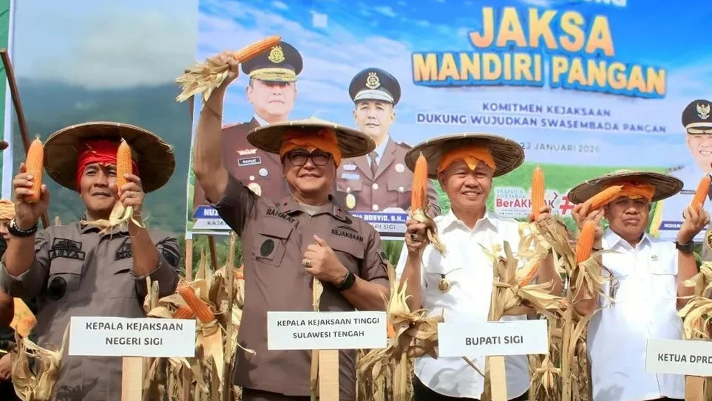 Dukung Ketahanan Pangan, Kajati Sulten Panen Jagung Program Jaksa Mandiri Pangan di Kabupaten Sigi. (FOTO/dok.Kejaksaan Agung) Body Artikel 1 Kejaksaan Agung II 23