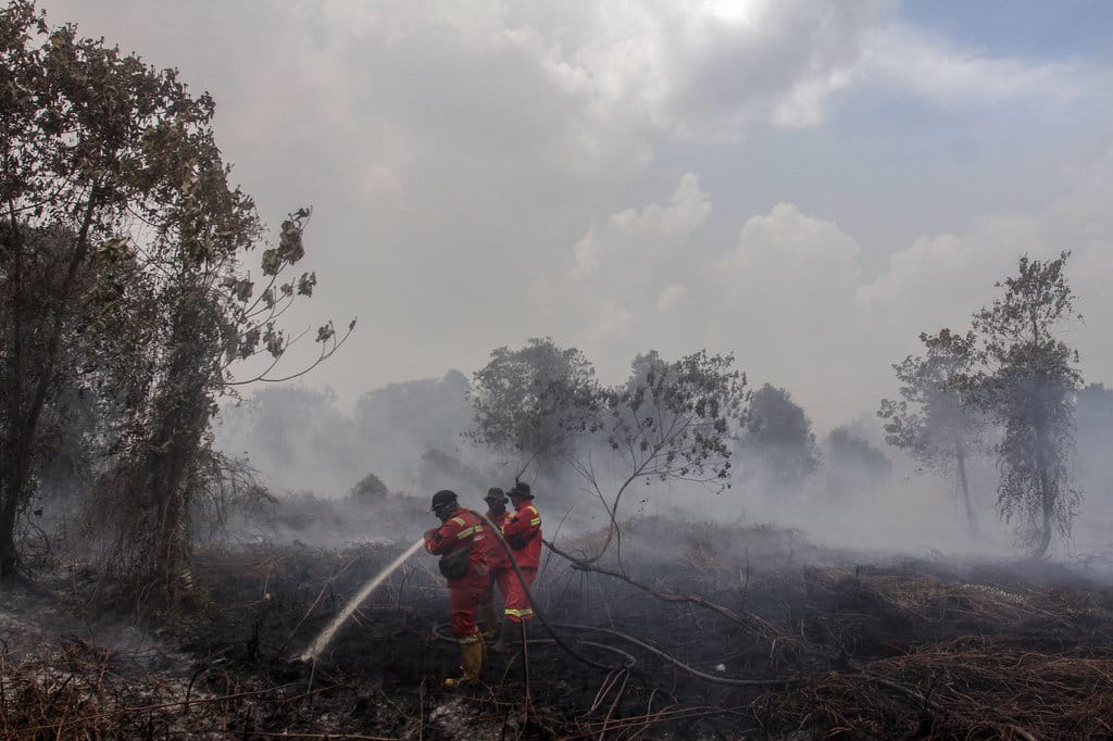 Personel Manggala Agni Daops Sumatera IV Pekanbaru berusaha memadamkan kebakaran lahan gambut di Desa Rimbo Panjang, Kabupaten Kampar, Riau, Kamis (12/2/2026). ANTARA FOTO/Rony Muharrman/foc. Kebakaran lahan gambut di Riau