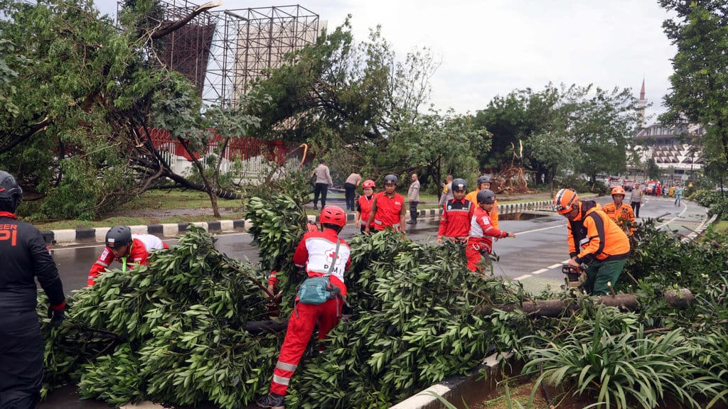 Petugas gabungan mengevakuasi pohon tumbang di Pakansari, Kabupaten Bogor, Jawa Barat, Kamis (12/2/2026). ANTARA FOTO/Yulius Satria Wijaya/foc. Pohon tumbang akibat hujan deras dan angin kencang di Bogor