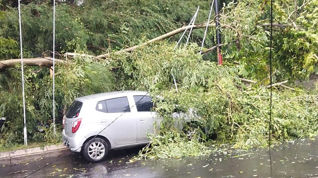 Pohon tumbang menimpa sebuah mobil saat hujan angin di Kota Semarang, Rabu (4/3/2026) sore. Foto/Dok. BPBD Pohon Tumbang Semarang