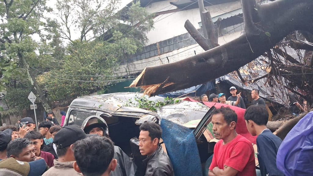 Hujan deras menyebabkan pohon tumbang di 39 titik Kota Bandung, mobil tertimpa. FOTO/Dokumen BPBD Bandung Pohon Tumbang di Bandung