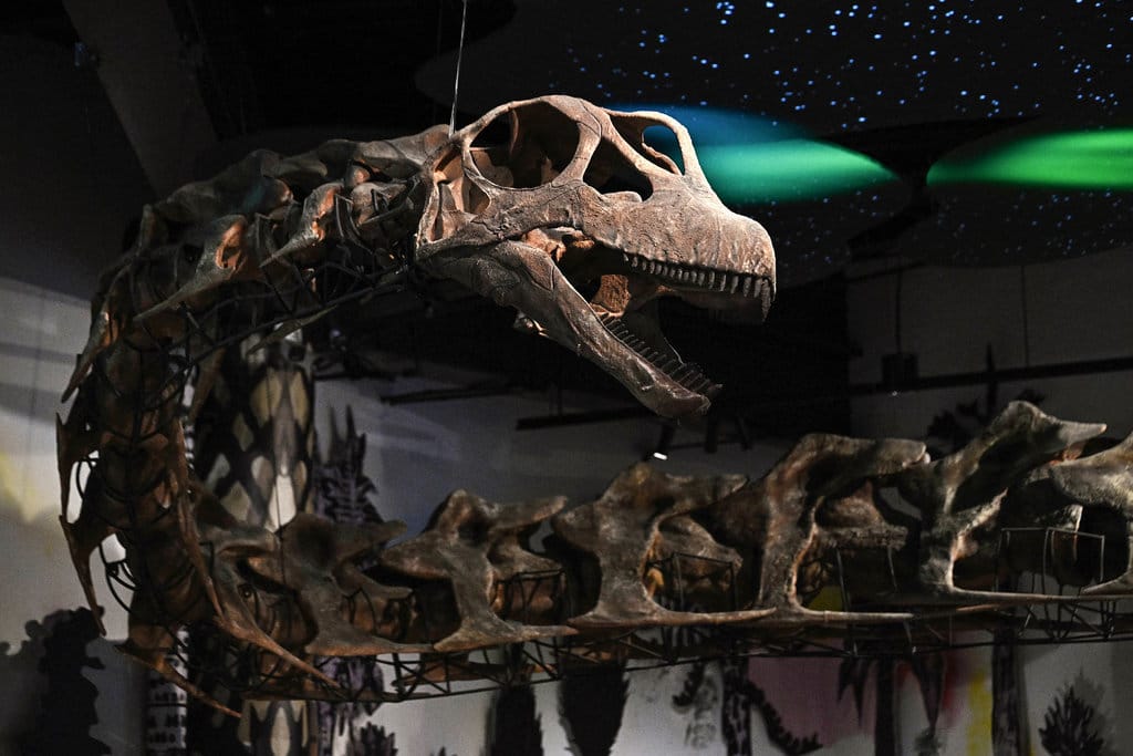 Model kerangka Nagatitan chaiyaphumensis, dinosaurus terbesar di Thailand, difoto di Museum Thainosaur di Bangkok pada 15 Mei 2026. AFP/oleh Lillian SUWANRUMPHA Nagatitan chaiyaphumensis