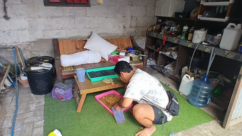 Safri, petani muda yang juga menggeluti hidroponik. tirto.id/Fadli Nasrudin petani muda menggeluti hidroponik