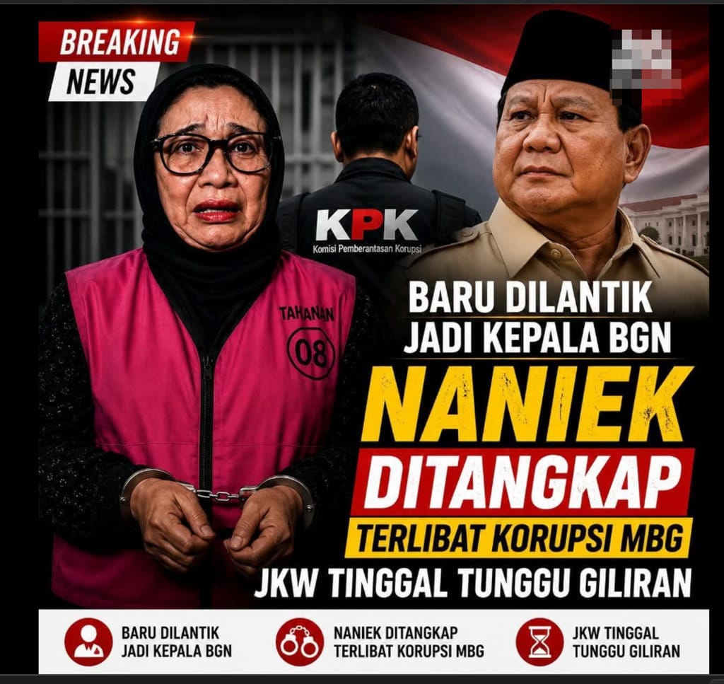 periksa fakta korupsi MBG. periksa fakta korupsi MBG