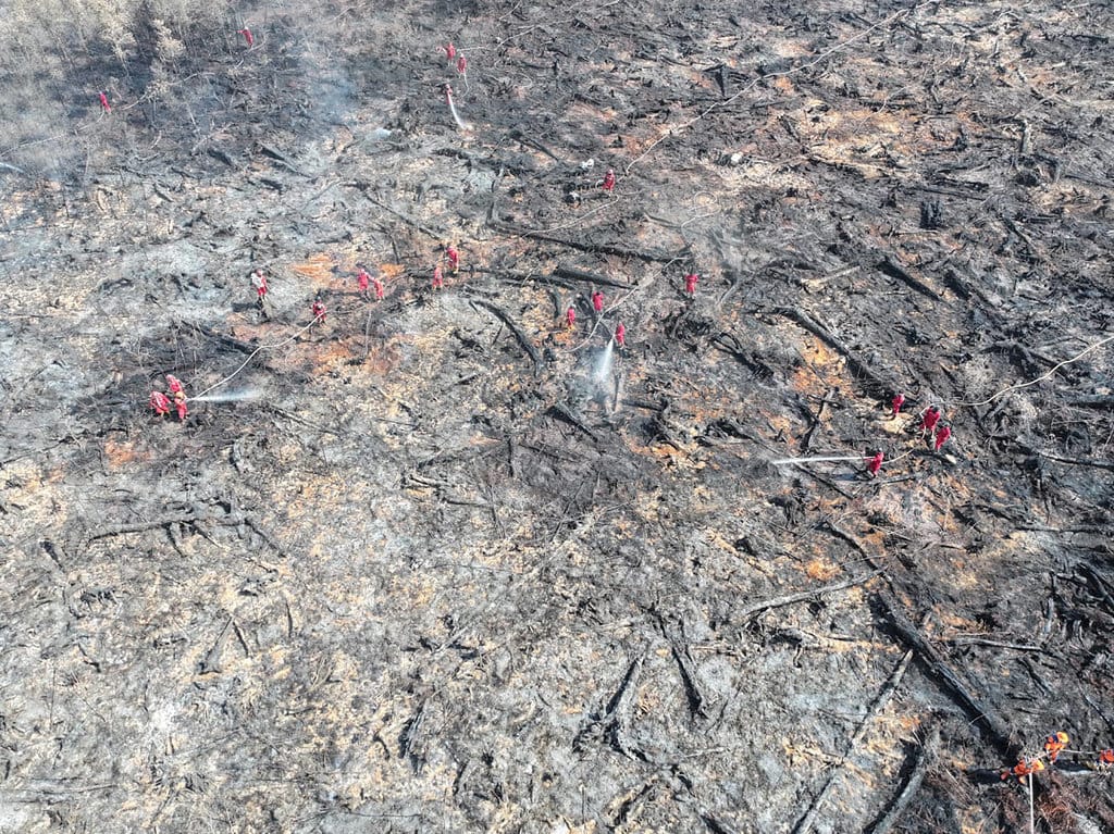 Kebakatan hutan dan lahan di wilayah Ogan Komering Ilir, Sumsel, Sabtu (4/7/2026). FOTO/Manggala Agni Kebakaran Lahan gambut OKI