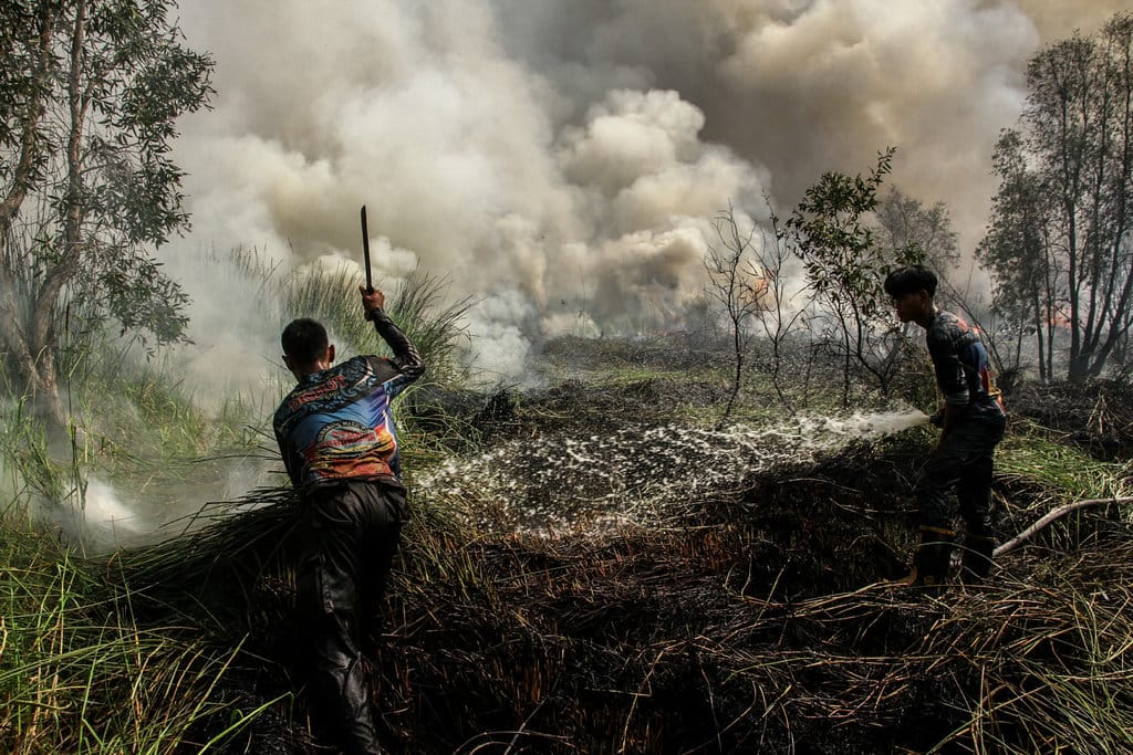 Petugas pemadam kebakaran Dinas Kehutanan Kalteng berusaha memadamkan api yang membakar lahan gambut di Kelurahan Bukit Tunggal, Palangka Raya, Kalimantan Tengah, Minggu (12/7/2026). Pemerintah Kota Palangka Raya telah menetapkan status siaga darurat kebakaran hutan dan lahan (karhutla) sejak 1 Juni hingga Agustus 2026 sebagai bentuk kesiapsiagaan menghadapi musim kemarau mengingat telah terjadinya beberapa titik peristiwa karhutla di wilayah Palangka Raya. ANTARA FOTO/Auliya Rahman/bar Siaga darurat kebakaran hutan dan lahan di Palangka Raya