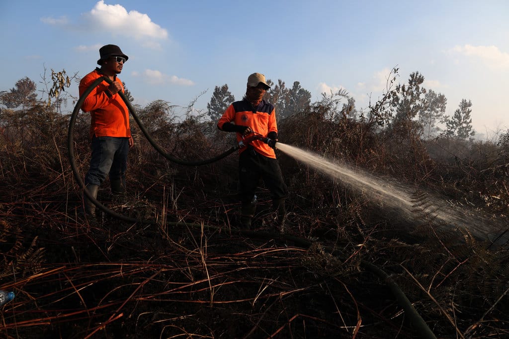 Dua personel BPBD Provinsi Kalimantan Barat melakukan pembasahan di lokasi kebakaran lahan gambut di Desa Limbung, Kecamatan Sungai Raya, Kabupaten Kubu Raya, Kalimantan Barat, Rabu (15/7/2026. ANTARA FOTO/Jessica Wuysang/kye Tim gabungan padamkan karhutla di Kubu Raya