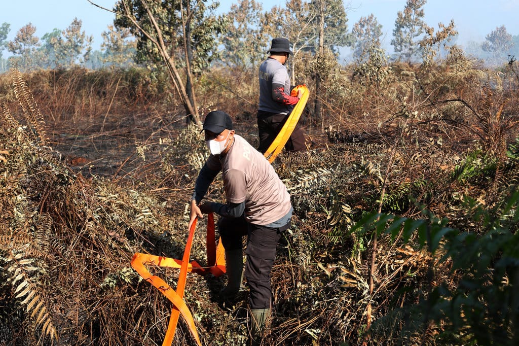 Personel Direktorat Samapta Polda Kalimantan Barat menarik selang pemadam menuju titik kebakaran lahan di Desa Limbung, Kecamatan Sungai Raya, Kabupaten Kubu Raya, Kalimantan Barat, Rabu (15/7/2026). ANTARA FOTO/Jessica Wuysang/kye Tim gabungan padamkan karhutla di Kubu Raya