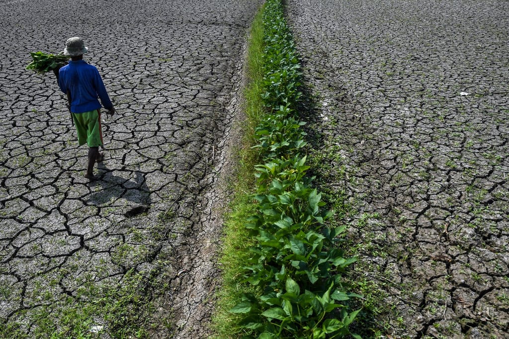 Petani berjalan di lahan sawah irigasi anak Sungai Cimulu yang mengering di Kampung Ciwasmandi, Kelurahan Sukajaya, Kecamatan Purbaratu, Kota Tasikmalaya, Jawa Barat, Kamis (16/7/2026). BMKG Jawa Barat memprediksi sebagian besar wilayah di Jabar mengalami musim kemarau lebih kering dibandingkan kondisi klimatologis normal pada 2026, dengan puncak kemarau diperkirakan terjadi pada Agustus dan mencakup sekitar 90 persen wilayah. ANTARA FOTO/Adeng Bustomi/nz Prediksi kemarau di Jawa Barat
