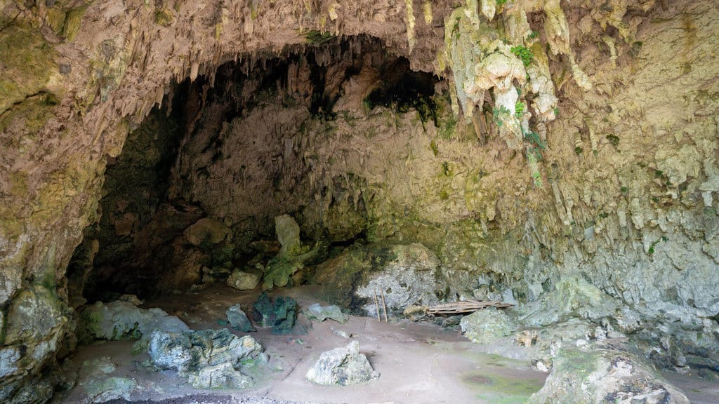 Gua Liang Bua (Gua Hobbit), pulau Flores, Indonesia. Gua Liang Bua Homo floresiensis