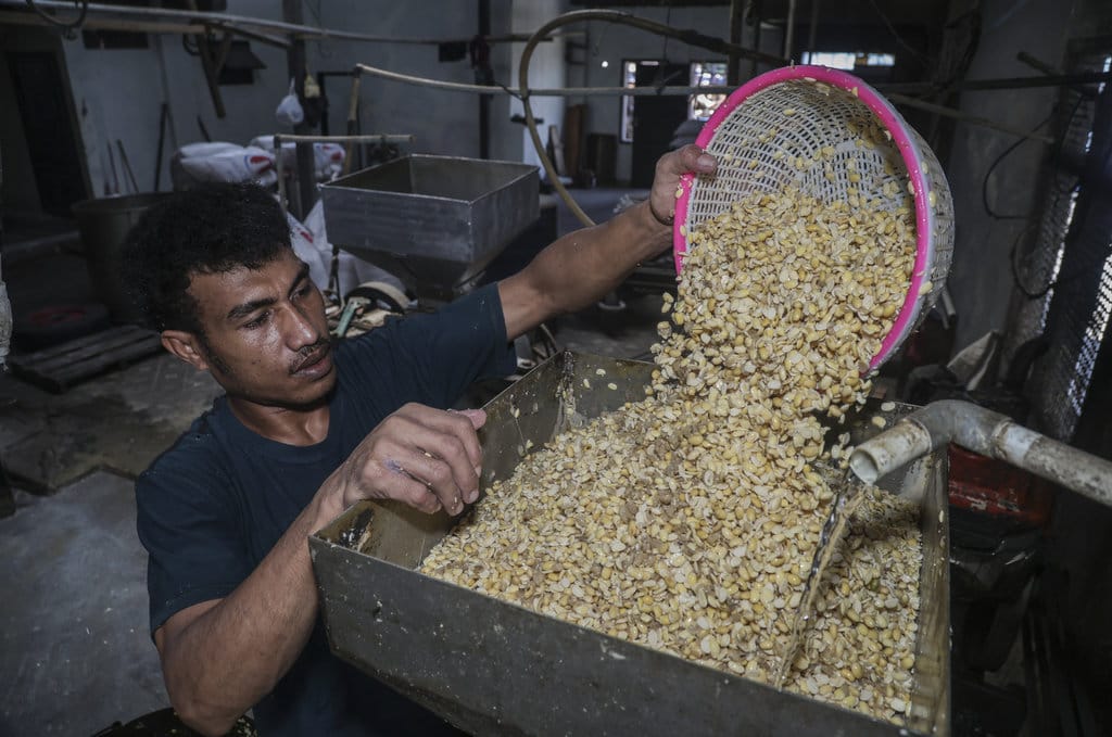Pekerja memasukkan kedelai ke dalam mesin penggiling di salah satu sentra produksi tahu dan tempe di Ternate, Maluku Utara, Rabu (22/7/2026). Pemerintah melalui Kementerian Koperasi meminta Gabungan Koperasi Produsen Tempe Tahu Indonesia (Gakoptindo) memperkuat rantai pasok kedelai impor guna menjamin ketersediaan bahan baku dan pemerintah juga menyalurkan subsidi melalui program Bantuan Stabilisasi Harga dan Pasokan (SPHP) sebesar Rp2.000 per kilogram dengan kuota awal 250.000 ton dan dukungan anggaran sekitar Rp500 miliar untuk menjaga stabilitas pasokan serta mendukung usaha perajin tahu dan tempe. ANTARAFOTO/Andri Saputra/bar Kementerian Koperasi perkuat rantai pasok kedelai impor