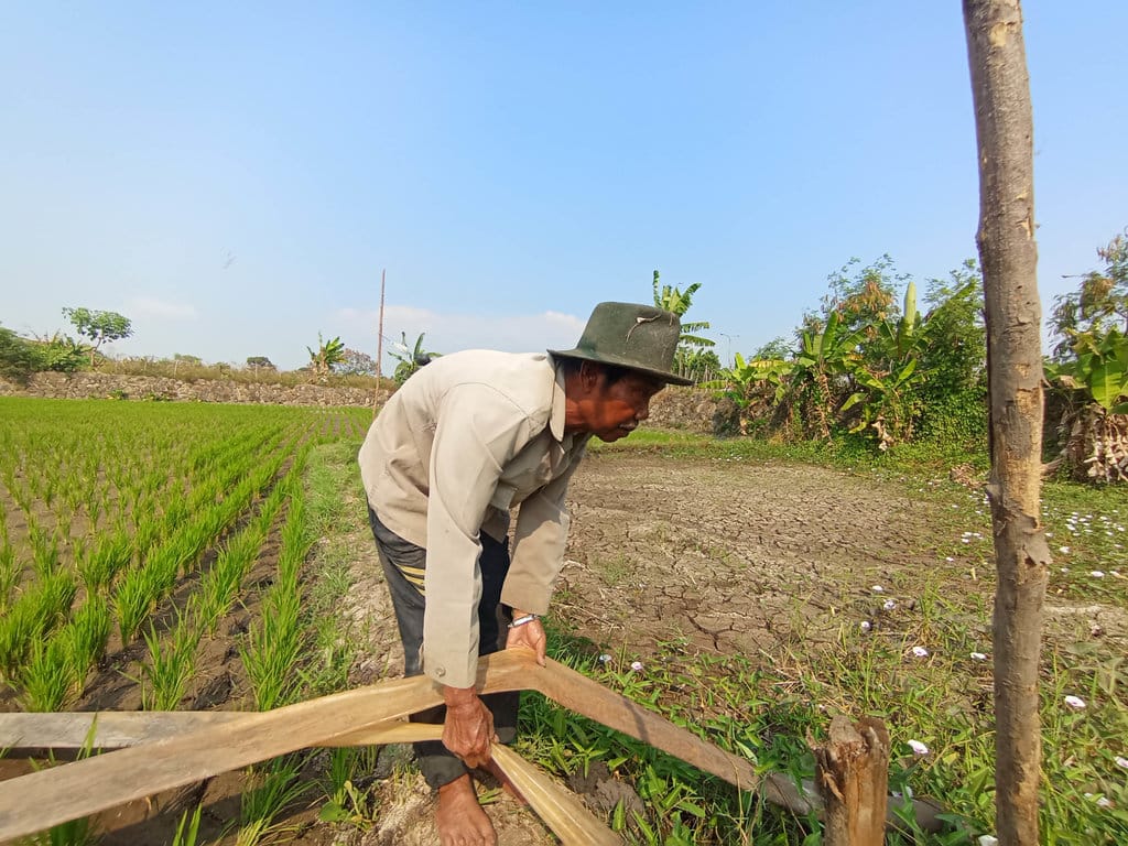 Petani, Saepudin (62) saat berkegiatan di sawah lahan garapan, Kecamatan Gedebage, Kota Bandung, Kamis (23/7/2026). Dia berulangkali memastikan ketersediaan air dari parit selokan dan sumur buatan sederhana. Muhamad Nizar/tirto.id. Saepudin