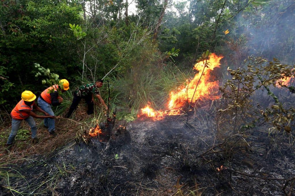 Prajurit TNI AU bersama petugas PT PLN berupaya memadamkan api yang membakar hutan dan lahan (karhutla) dengan alat seadanya di kawasan Bukit Radar, Blang Bintang, Aceh Besar, Aceh, Kamis (30/7/2026). ANTARA FOTO/Irwansyah Putra/nym. Pemadaman karhutla di Aceh