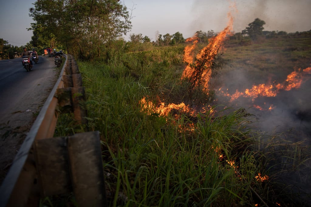 Pengendara melintas di jalan lintas Palembang-Ogan Ilir saat terjadi kebakaran lahan di Desa Sungai Rambutan, Indralaya Utara, Ogan Ili (OI), Sumatera Selatan, Sabtu (1/8/2026). Badan Meteorologi, Klimatologi, dan Geofisika (BMKG) mencatat akumulasi titik panas indikator kebakaran hutan dan lahan (karhutla) dari Januari-Juli 2026 mencapai 5.019 titik yang tersebar di seluruh wilayah di Indonesia. ANTARA FOTO/Nova Wahyudi/YU Kebakaran lahan di Sungai Rambutan