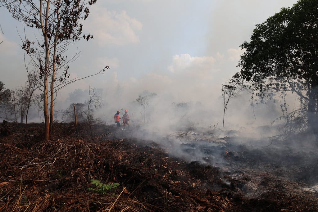 Personel BPBD Provinsi Kalimantan Barat berjalan di lokasi lahan gambut yang terbakar di Dusun Sidomulyo, Desa Limbung, Kecamatan Sungai Raya, Kabupaten Kubu Raya, Kalimantan Barat, Minggu (2/8/2026). BMKG Kalimantan Barat mencatat hasil pantauan sensor VIIRS dan MODIS pada satelit polar per 1 Agustus 2026 menunjukkan terdapat 762 titik panas kebakaran hutan dan lahan yang tersebar di 12 kabupaten di provinsi setempat yaitu antara lain Ketapang, Sanggau, Sekadau, Melawi, dan Kubu Raya. ANTARA FOTO/Jessica Wuysang/sgd Sebaran titik panas di Kalimantan Barat