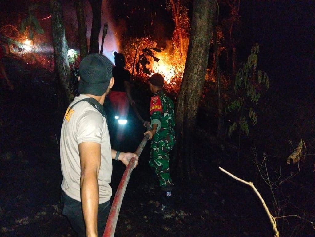Petugas gabungan berupaya memadamkan api pada kebakaran hutan dan lahan (Karhutla) yang terjadi di Desa Taddakong, Kecamatan Lembang, Kabupaten Pinrang, Provinsi Sulawesi Selatan, Sabtu (1/8). Sumber foto: BPBD Kabupaten Pinrang kebakaran Karhutla di Sulawesi Selatan