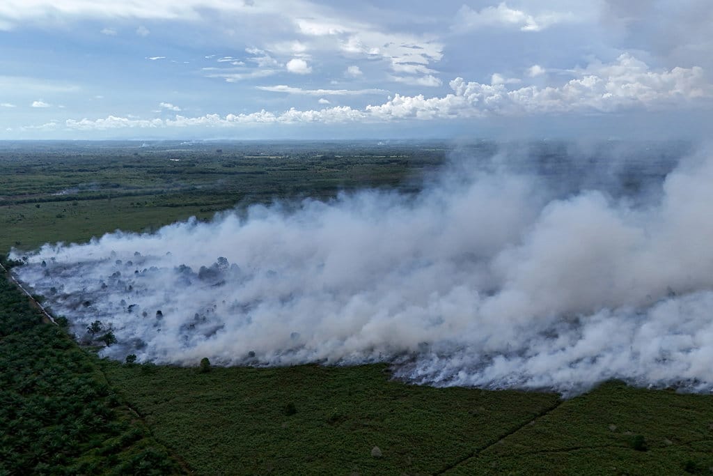 Foto udara kebakaran hutan dan lahan (karhutla) di kawasan lahan gambut Desa Deuah, Kecamatan Samatiga, Aceh Barat, Aceh, Minggu (2/8/2026). BPBD Kabupaten Aceh Barat menyatakan kebakaran hutan dan lahan (karhutla) yang terjadi sejak dua pekan terakhir terus meluas dari 14 hektar menjadi 19 hektar yang dipengaruhi cuaca panas ekstrem dan tiupan angin kencang sehingga mempercepat penguapan kadar air pada vegetasi. ANTARA FOTO/Syifa Yulinnas/sgd Karhutla di Aceh Barat meluas